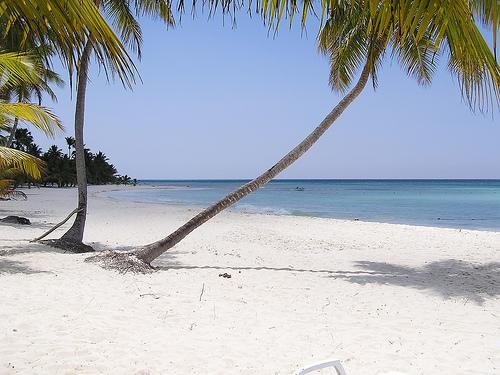 Bayahibe: İsteğe Bağlı Istakoz Öğle Yemeği ile Saona Adası Günü Gezisi